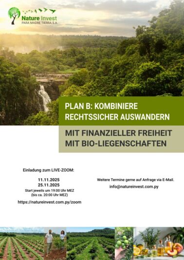 photo_2025-11-17_14-29-55