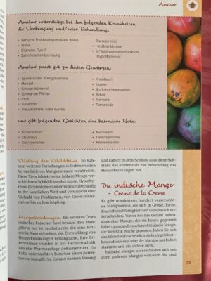 Amschur
