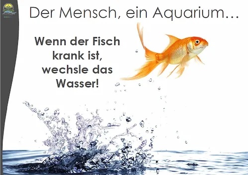 Wasser_3