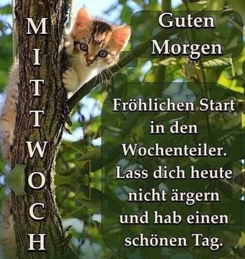 mittwoch_morgen_11