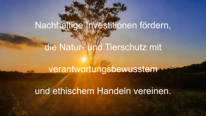 Nature-Invest-3