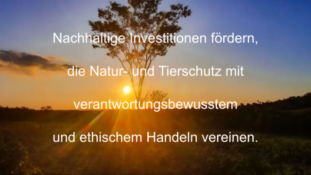 Nature-Invest-3