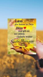 Donnerstag morgen 4