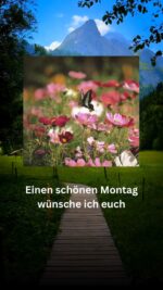 Montag tag 7