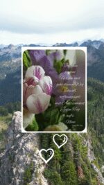Montag tag 15