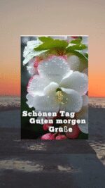 Dienstag morgen 9