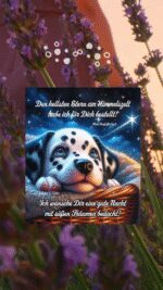 Donnerstag abend 2
