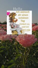 Tag Mittwoch 1