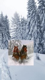 Schnee