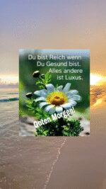Samstag morgen 1