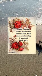 Sonntag morgen 11