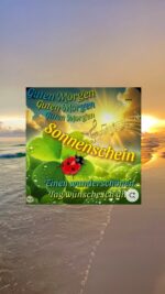 Freitag morgen 8