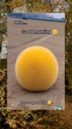 Montag morgen 7