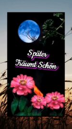 Sonntag abend 4
