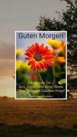 Mittwoch morgen 8