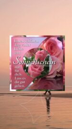 Sonntag tag 6