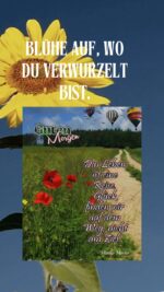 Sonntag morgen 6