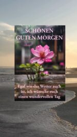 Montag morgen 9