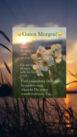 Dienstag morgen 8