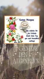 Donnerstag morgen 5