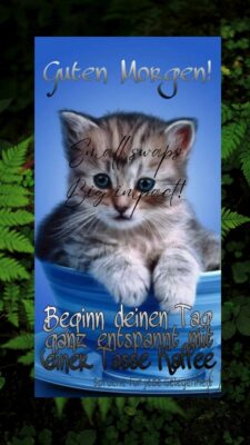 Guten Morgen Dienstag