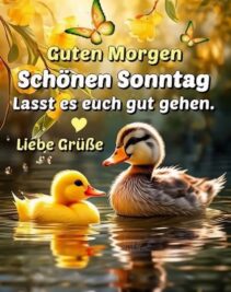 Sonntag morgen