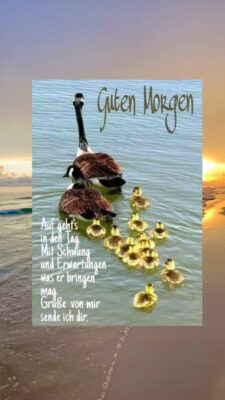 Sonntag morgen 3