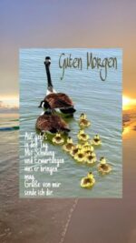 Sonntag morgen 3