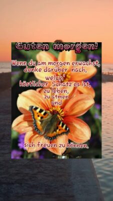 Mittwoch morgen 9