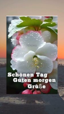 Dienstag morgen 9