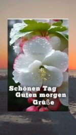 Dienstag morgen 9