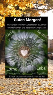 Guten Morgen Mittwoch