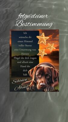 Donnerstag abend 4