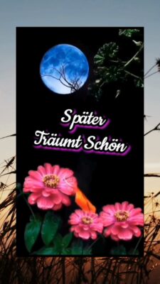 Sonntag abend 4