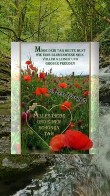Donnerstag morgen 8