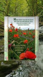 Donnerstag morgen 8