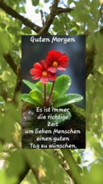 Montag morgen 4