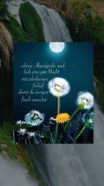 Montag Abend 2