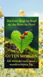 Dienstag morgen 3