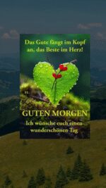 Mittwoch morgen 3