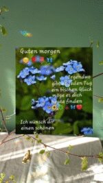 Donnerstag morgen 3