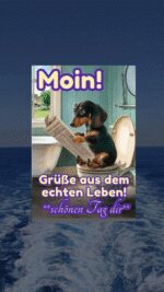 Dienstag tag 8