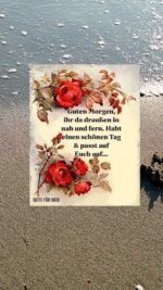 Sonntag morgen 11