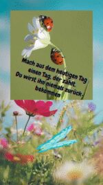 Schönen Tag