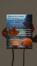 Freitag morgen 1