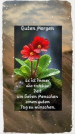 Samstag morgen 1