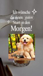 Mittwoch morgen 2