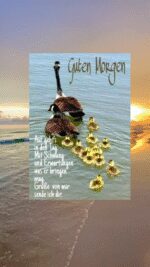 Sonntag morgen 3