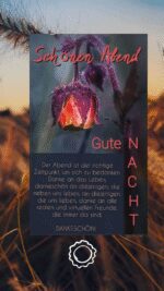Mittwoch abend 2