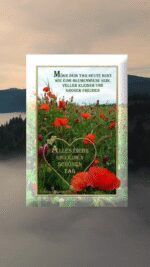 Donnerstag tag 3